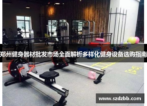 郑州健身器材批发市场全面解析多样化健身设备选购指南